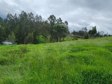 VENTA DE HACIENDA EN CUENCA