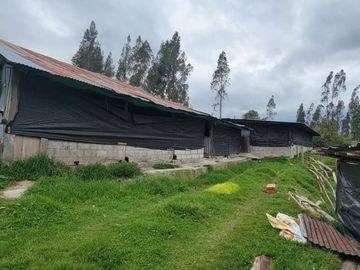 VENTA DE HACIENDA EN CUENCA