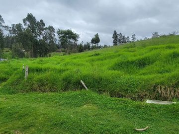 VENTA DE HACIENDA EN CUENCA