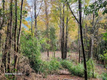 Se vende Hermosa Parcela de 4,08ha en Mayay, Ranco a orilla del río Temuleufu