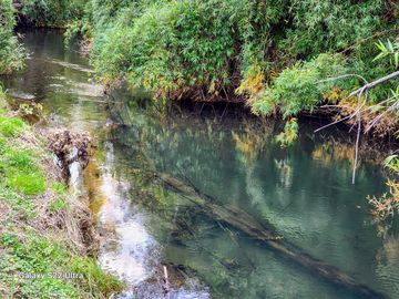 Se vende Hermosa Parcela de 4,08ha en Mayay, Ranco a orilla del río Temuleufu