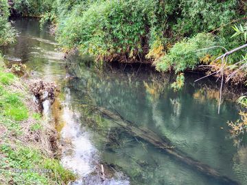 Se vende Hermosa Parcela de 4,08ha en Mayay, Ranco a orilla del río Temuleufu