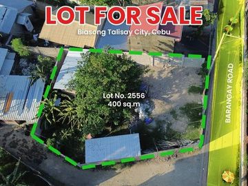 🌟Golden Opportunity: For sale 400sqm Commercial / Residential Corner Lot in Talisay City Cebu🌟