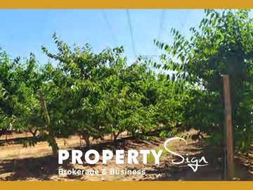 Terr. Agricola Ruta K-25 San Clemente / A-8
