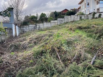 Sitio Loteo Altos del Cruce