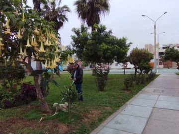 VENDO SAN MIGUEL LINDA VISTA PARQUE Y MAR ESTRENO