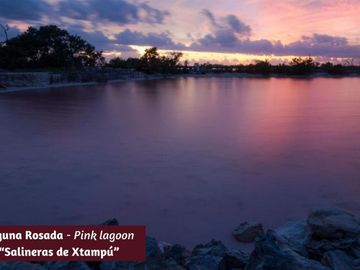 Condo frente al mar, alberca común, rooftop, en venta, Telchac, Yucatán