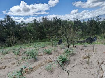TERRENO CON CASA rentera DE DOS DEPARTAMENTOS Y SUITE EN VENTA.PINLLO AMBATO