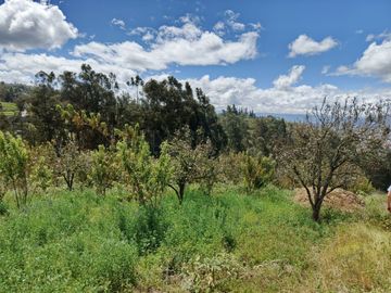 TERRENO CON CASA rentera DE DOS DEPARTAMENTOS Y SUITE EN VENTA.PINLLO AMBATO