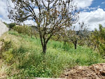 TERRENO CON CASA rentera DE DOS DEPARTAMENTOS Y SUITE EN VENTA.PINLLO AMBATO