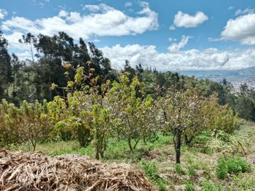 TERRENO CON CASA rentera DE DOS DEPARTAMENTOS Y SUITE EN VENTA.PINLLO AMBATO