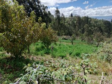 TERRENO CON CASA rentera DE DOS DEPARTAMENTOS Y SUITE EN VENTA.PINLLO AMBATO