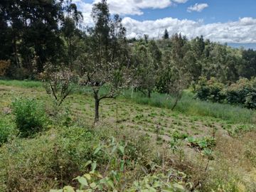TERRENO CON CASA rentera DE DOS DEPARTAMENTOS Y SUITE EN VENTA.PINLLO AMBATO