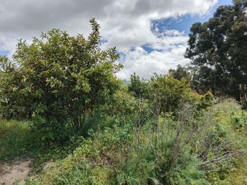 TERRENO CON CASA rentera DE DOS DEPARTAMENTOS Y SUITE EN VENTA.PINLLO AMBATO