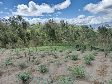 TERRENO CON CASA rentera DE DOS DEPARTAMENTOS Y SUITE EN VENTA.PINLLO AMBATO