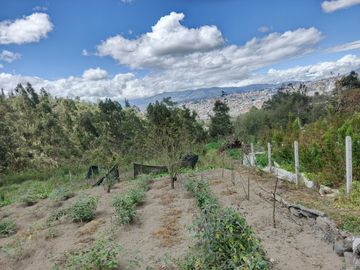 TERRENO CON CASA rentera DE DOS DEPARTAMENTOS Y SUITE EN VENTA.PINLLO AMBATO