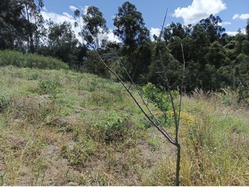 TERRENO CON CASA rentera DE DOS DEPARTAMENTOS Y SUITE EN VENTA.PINLLO AMBATO