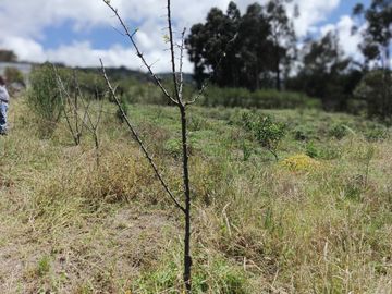 TERRENO CON CASA rentera DE DOS DEPARTAMENTOS Y SUITE EN VENTA.PINLLO AMBATO