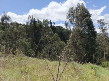 TERRENO CON CASA rentera DE DOS DEPARTAMENTOS Y SUITE EN VENTA.PINLLO AMBATO