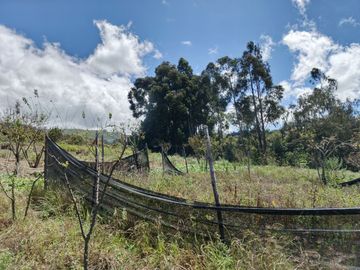 TERRENO CON CASA rentera DE DOS DEPARTAMENTOS Y SUITE EN VENTA.PINLLO AMBATO