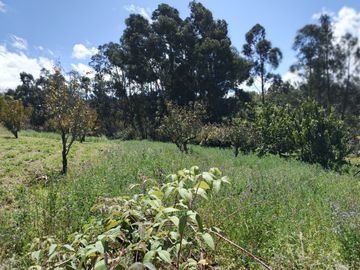 TERRENO CON CASA rentera DE DOS DEPARTAMENTOS Y SUITE EN VENTA.PINLLO AMBATO