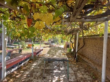 Quilpué, Belloto. Quinta urbana ideal para explotación turística