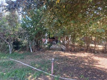 Quilpué, Belloto. Quinta urbana ideal para explotación turística