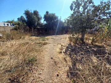Quilpué, Belloto. Quinta urbana ideal para explotación turística
