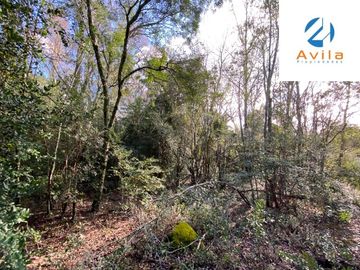 Villarrica Sitio en Nueva Puntilla de Villarrica Zona Urbana Zona ZH-2 de 867m2 COD.VTIN074