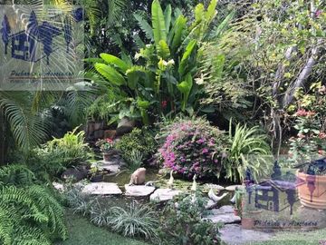 Venta de Casa en El Los Apantles San José Sumiya, Jiutepec Morelos 4 Recamaras