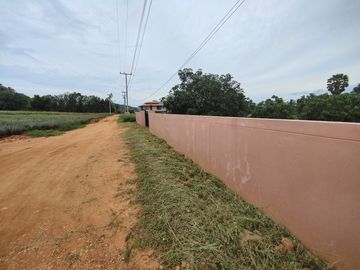 3-2-0 Rai | Mountain View Land  Fruit Tree Orchards & Bungalows