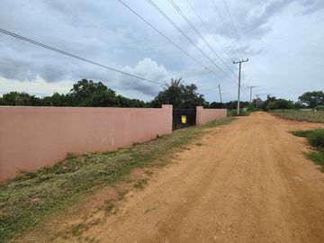 3-2-0 Rai | Mountain View Land  Fruit Tree Orchards & Bungalows