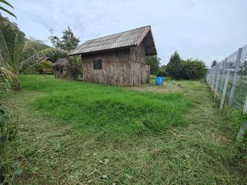 3-2-0 Rai | Mountain View Land  Fruit Tree Orchards & Bungalows