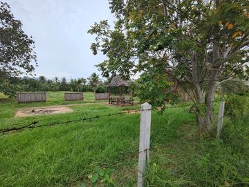 3-2-0 Rai | Mountain View Land  Fruit Tree Orchards & Bungalows