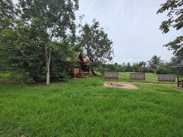 3-2-0 Rai | Mountain View Land  Fruit Tree Orchards & Bungalows