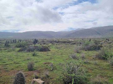 REMATAMOS PARCELAS CON  VISTA AL MAR EN LA CUARTA REGION OVALLE