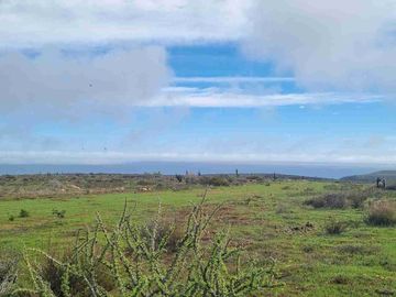 REMATAMOS PARCELAS CON  VISTA AL MAR EN LA CUARTA REGION OVALLE
