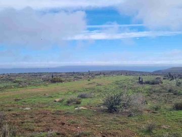 REMATAMOS PARCELAS CON  VISTA AL MAR EN LA CUARTA REGION OVALLE