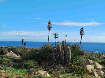 REMATAMOS PARCELAS CON  VISTA AL MAR EN LA CUARTA REGION OVALLE