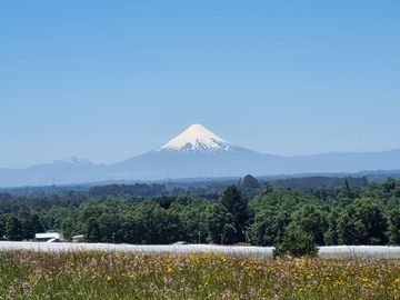 LIQUIDAMOS PARCELAS EN FRUTILLAR DECIMA REGION DE LOS LAGOS