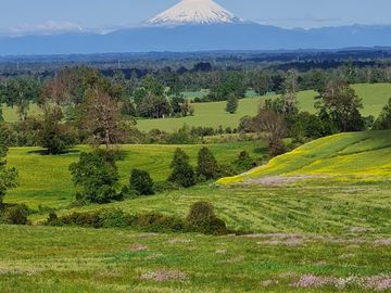 LIQUIDAMOS PARCELAS EN FRUTILLAR DECIMA REGION DE LOS LAGOS