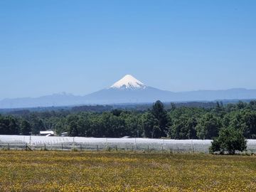 LIQUIDAMOS PARCELAS EN FRUTILLAR DECIMA REGION DE LOS LAGOS