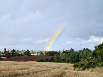 LIQUIDAMOS PARCELAS EN FRUTILLAR DECIMA REGION DE LOS LAGOS