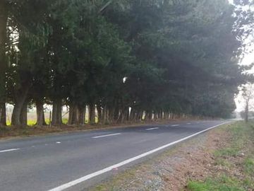 LIQUIDAMOS PARCELAS EN FRUTILLAR DECIMA REGION DE LOS LAGOS
