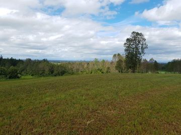 LIQUIDAMOS PARCELAS EN FRUTILLAR DECIMA REGION DE LOS LAGOS