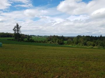 LIQUIDAMOS PARCELAS EN FRUTILLAR DECIMA REGION DE LOS LAGOS