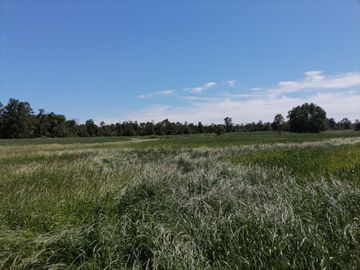 LIQUIDAMOS PARCELAS EN FRUTILLAR DECIMA REGION DE LOS LAGOS