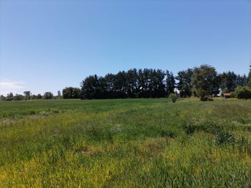 LIQUIDAMOS PARCELAS EN FRUTILLAR DECIMA REGION DE LOS LAGOS