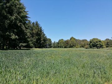 LIQUIDAMOS PARCELAS EN FRUTILLAR DECIMA REGION DE LOS LAGOS