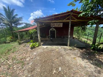 VENDO HACIENDA CON PRODUCCION DE PALMITO - PALMA - POTREROS